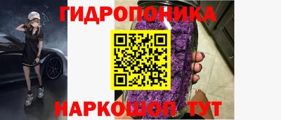 тгк Аргун