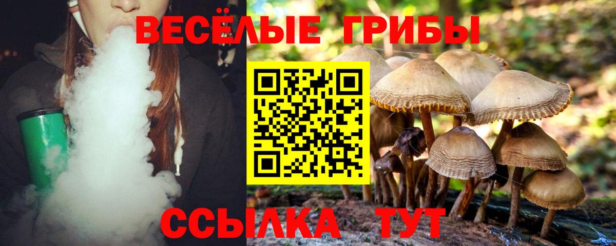 Псилоцибиновые грибы прущие грибы  Вход с VPN  Великие Луки  Галлюциногенные грибы прущие грибы 